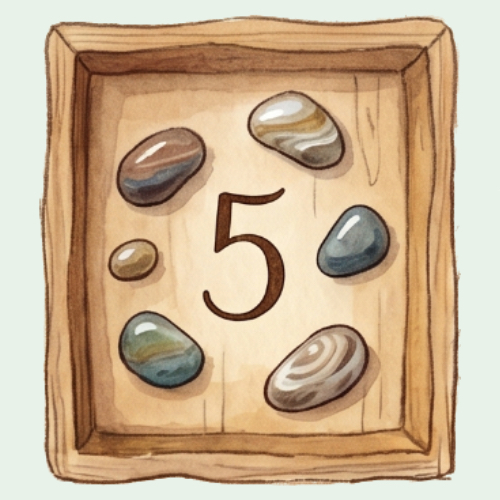 05_numéro_question_quiz