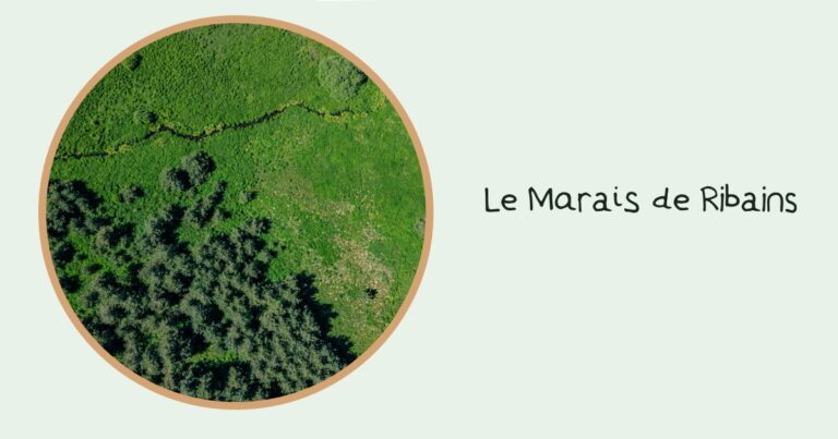 Facebook_Miniature_Marais_de_Ribains