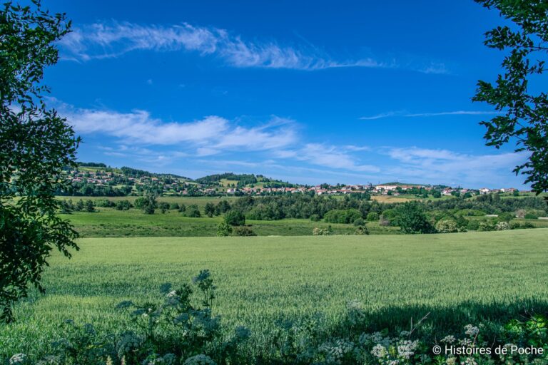 Le Marais de Ribains vu depuis Ribains