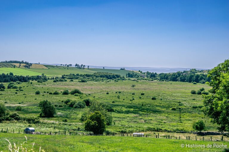 Le Marais de Ribains vu depuis Landos