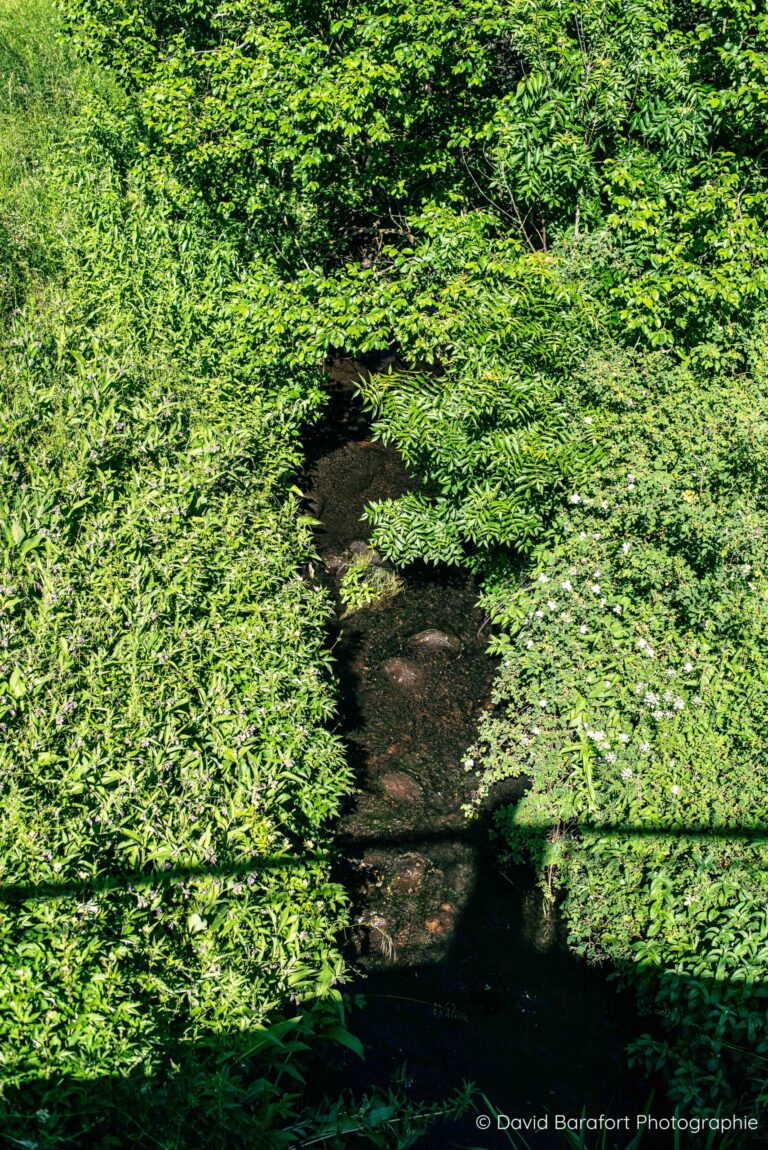 Le Ruisseau de Empèzes qui le marais pour rejoindre l'Allier au niveau de Saint-Médard
