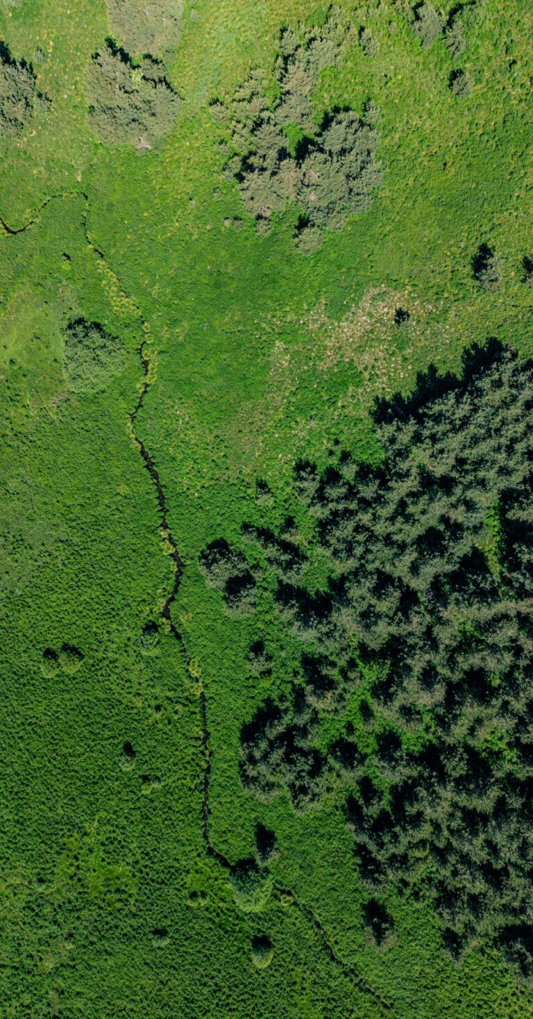 Ruisseau des Empèzes servant de drain au coeur du marais