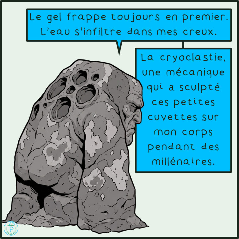 BD_LEponge_à_fièvre_du_Devès - Diapositive 03