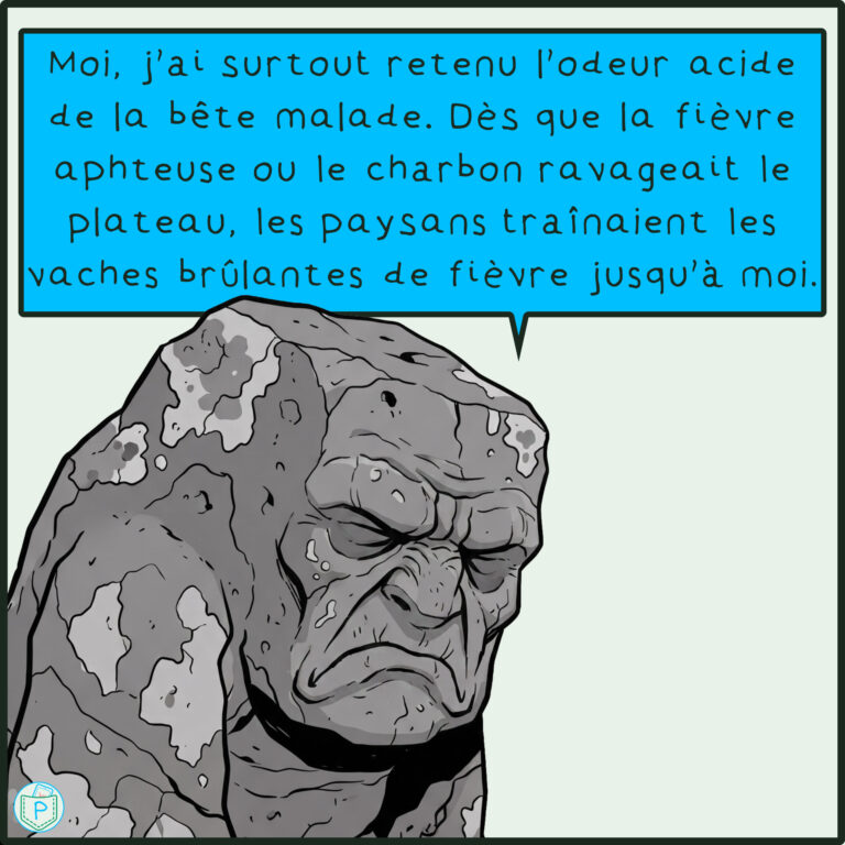 BD_LEponge_à_fièvre_du_Devès - Diapositive 06