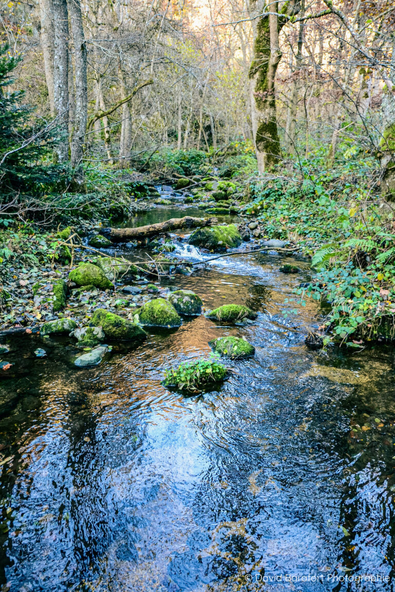 Ruisseau de Malaval