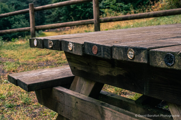 "Décorations" des tables de pique-nique