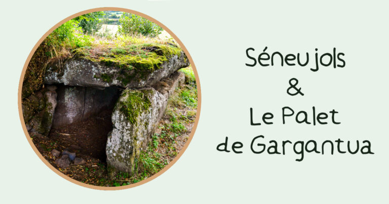 MinatureFacebookSéneujolsEtLePaletDeGargantua