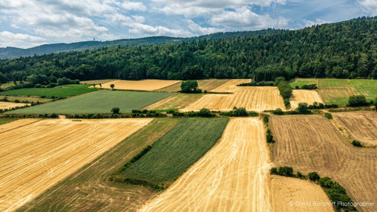 Vue aérienne des champs de Séneujols