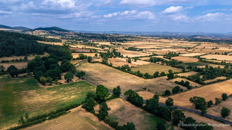 Vue aérienne des champs de Séneujols