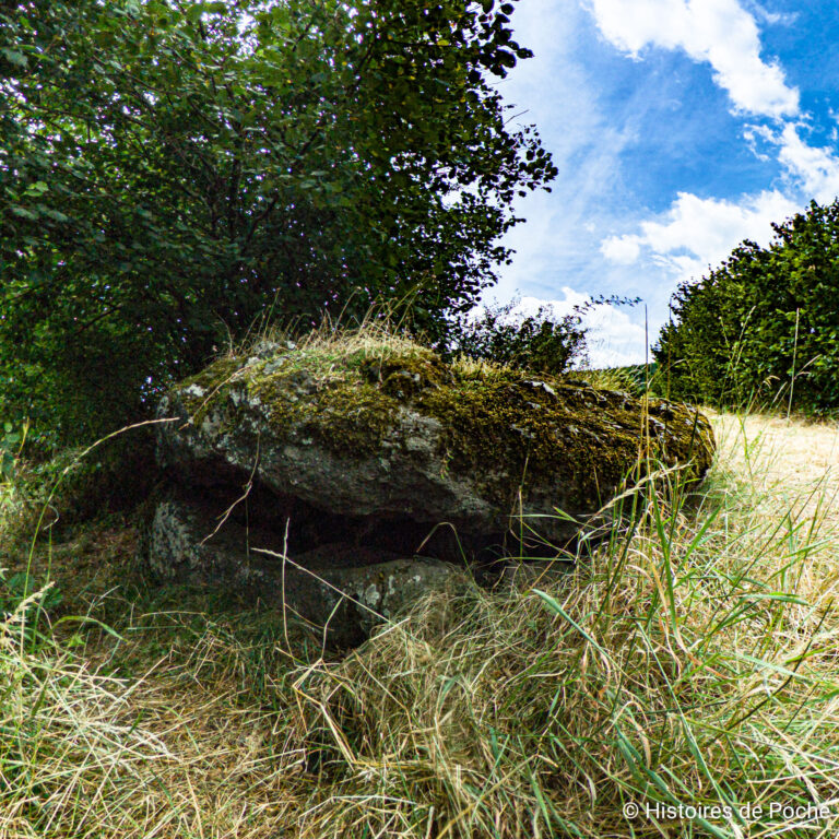 Table de couverture du Dolmen
