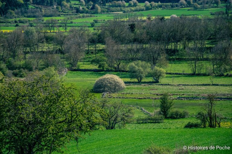 Paysage environnant