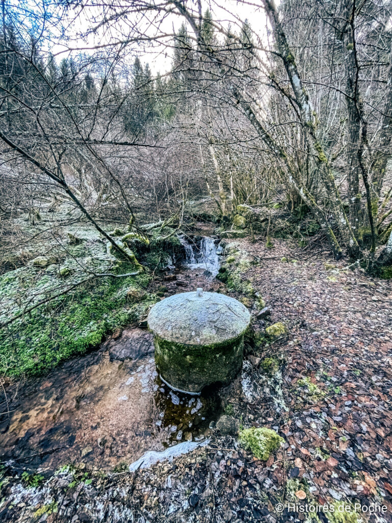 Source de la Souchères à Félines (43)