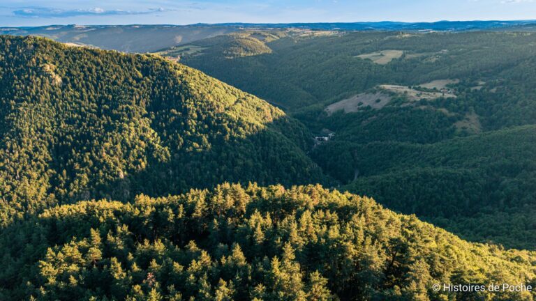 Ravin des Gorges de l'Allier