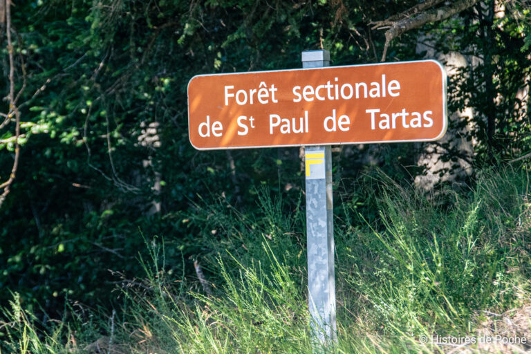 Début de l'ascension du mont