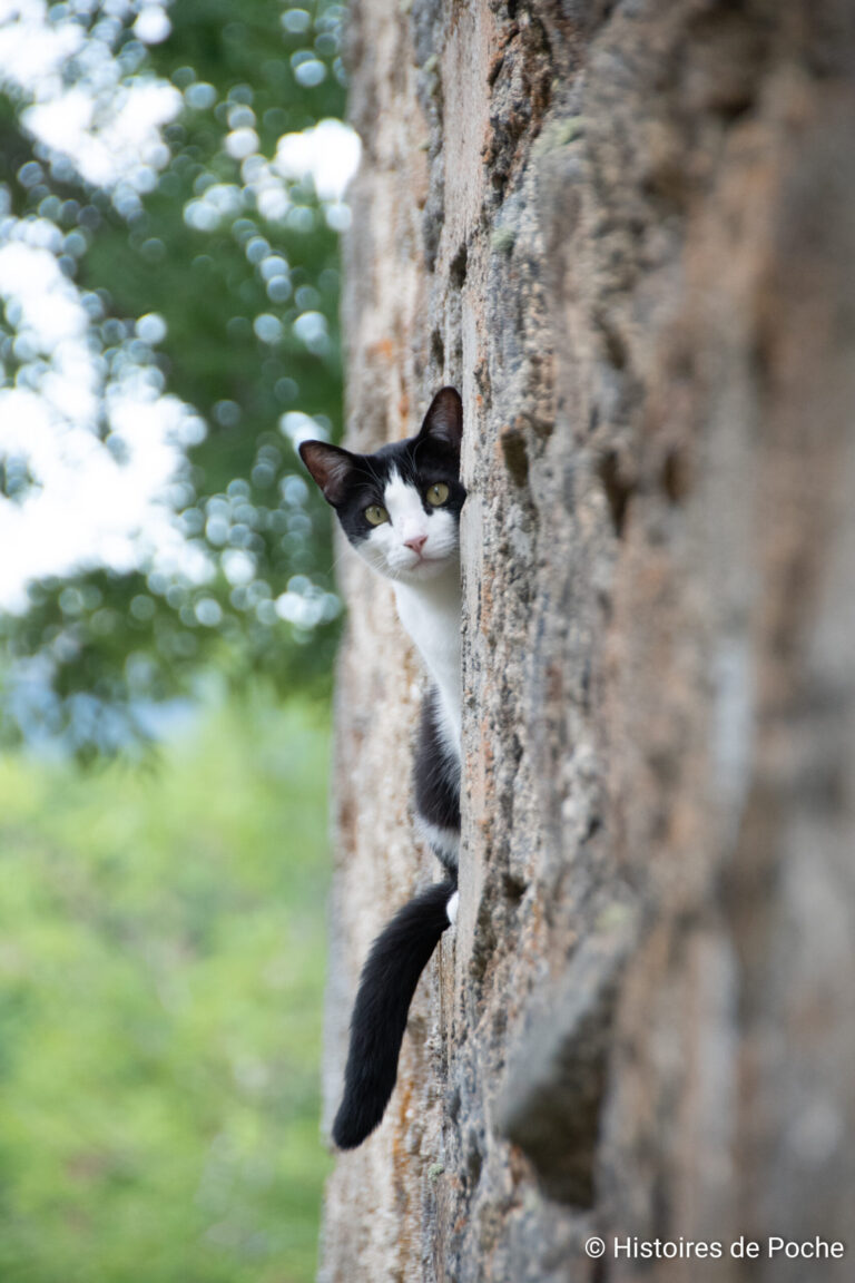 Un habitant à l'année de Saint-Christophe-d'Allier