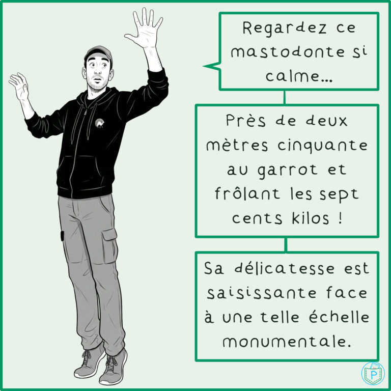 BD_Les_Touaregs_de_Lozere - Diapositive 05
