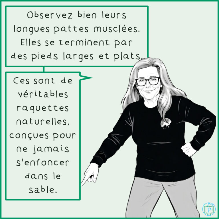 BD_Les_Touaregs_de_Lozere - Diapositive 06