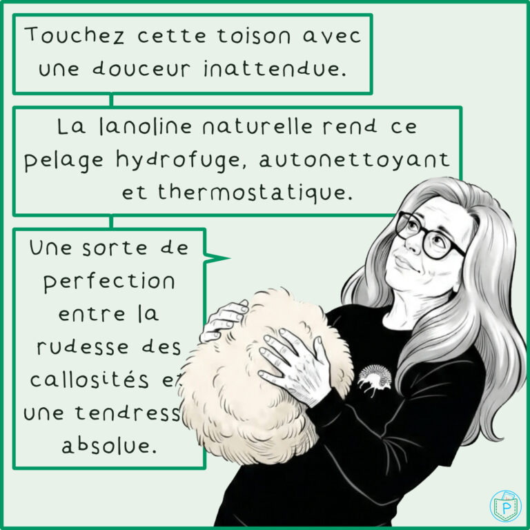 BD_Les_Touaregs_de_Lozere - Diapositive 14