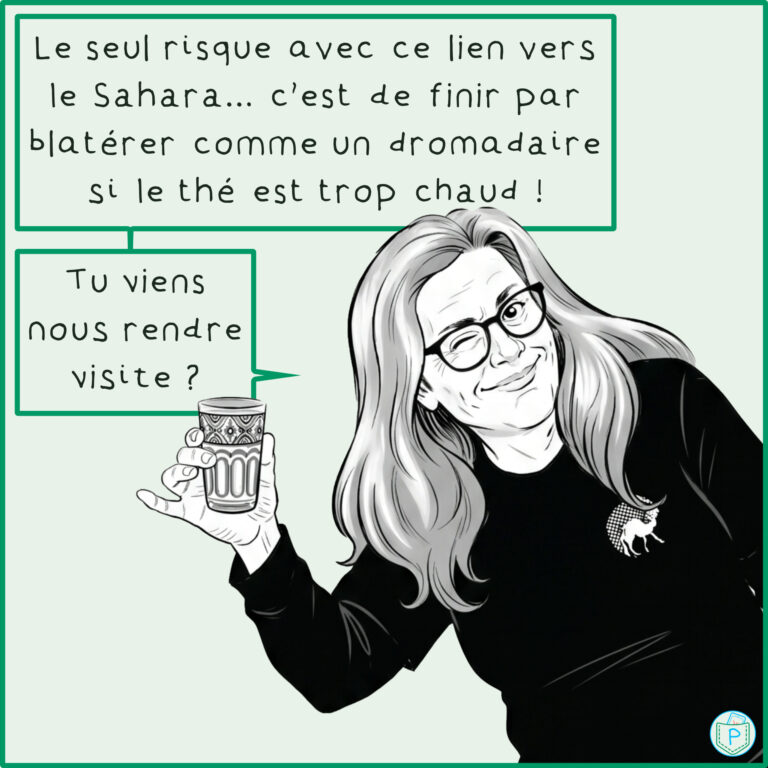 BD_Les_Touaregs_de_Lozere - Diapositive 18