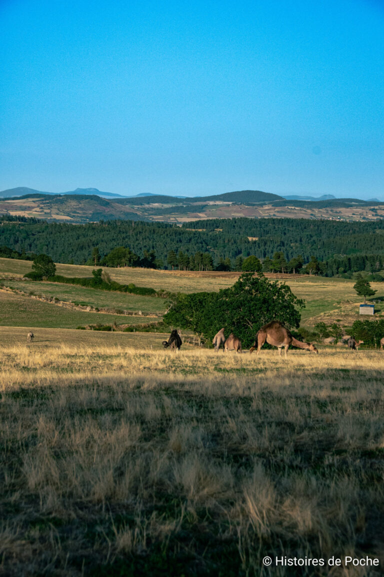 Nous sommes bien en Lozère