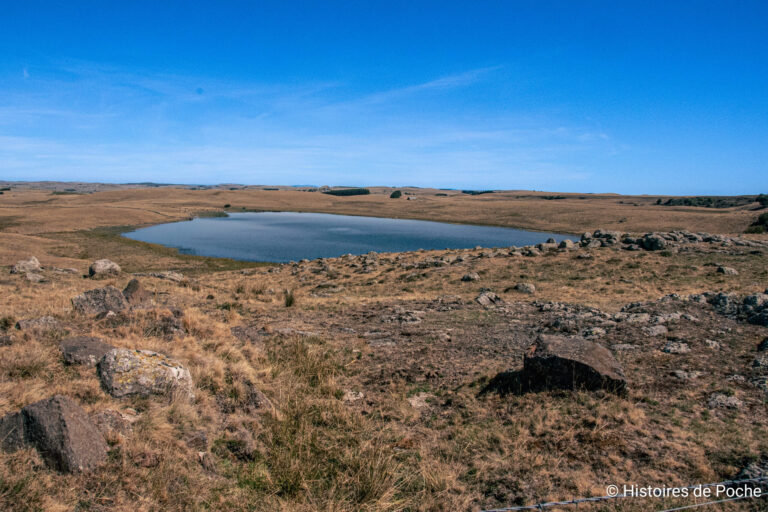 Comme un air de Mongolie en Lozère