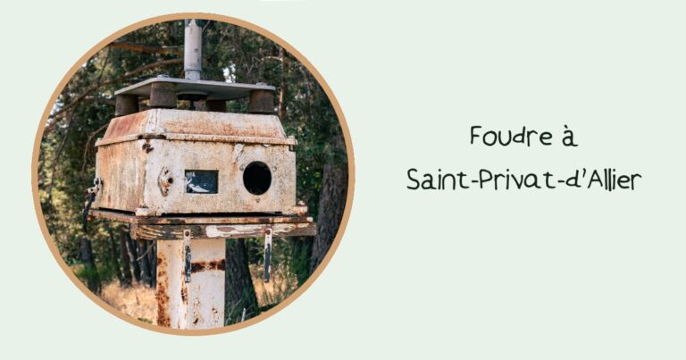 Facebook_Miniature_foudre_a_Saint-Privat-d'Allier