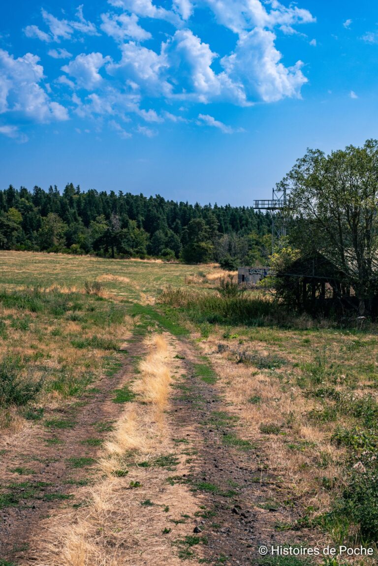 Le chemin permettant l'accès au "centre de recherche"